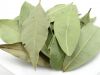 Lorbeerbl�tter, 500g