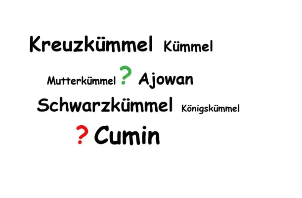 Wer blickt da durch? - 