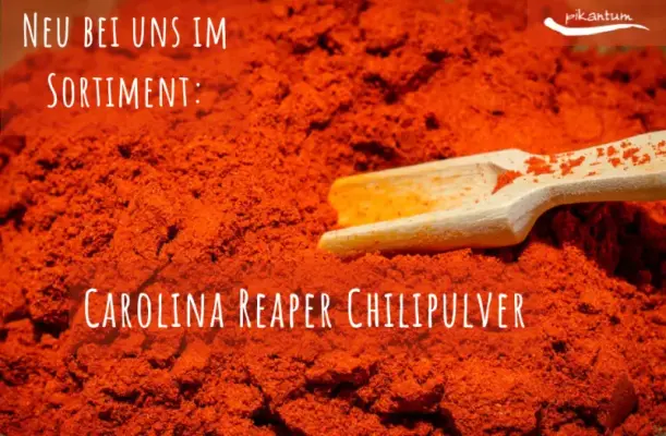 Unser Neuzugang: Carolina Reaper - eine der schärfsten Chilisorten der Welt - Chili FAQ: Carolina Reaper bis Paprika