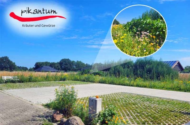 Parkplatzerweiterung &amp; Gemüseanbau - 