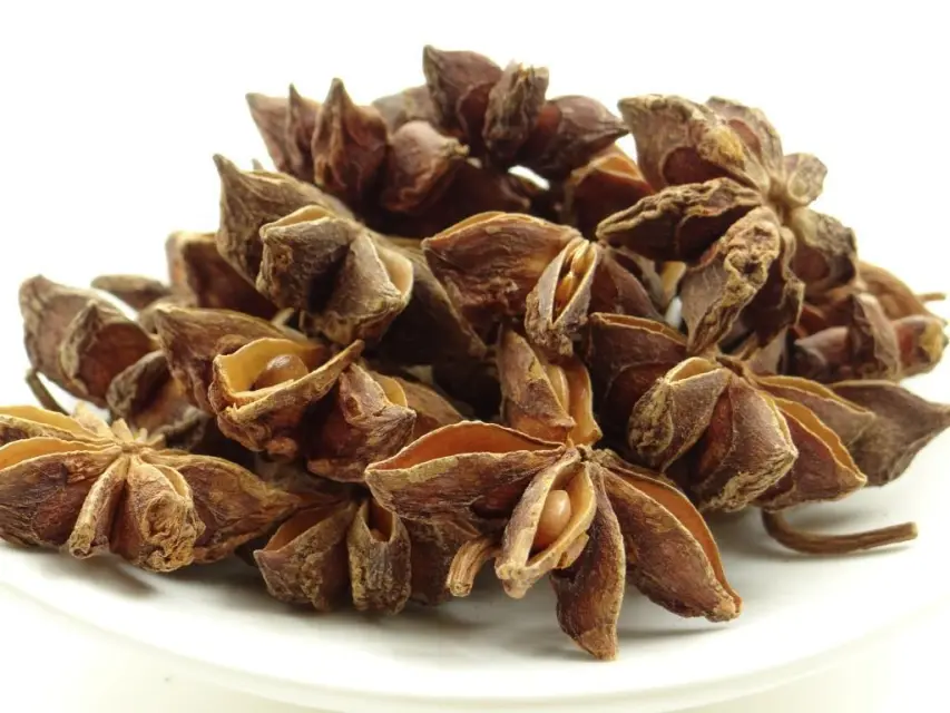 Sternanis – Gewürzlexikon von pikantum