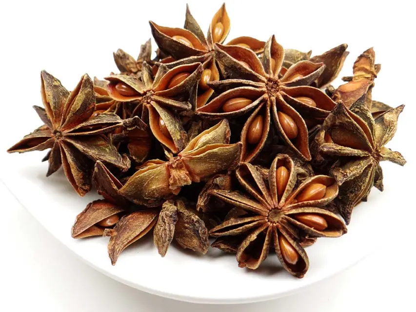 Bio Sternanis ganz von pikantum