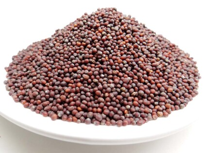 Schale mit brauner Bio Senfsaat