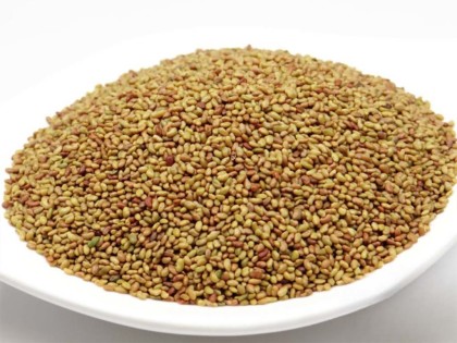Bio Alfalfa, Keimsaat für Sprossen, 250g