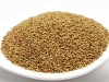 Bio Alfalfa, Keimsaat für Sprossen, 250g