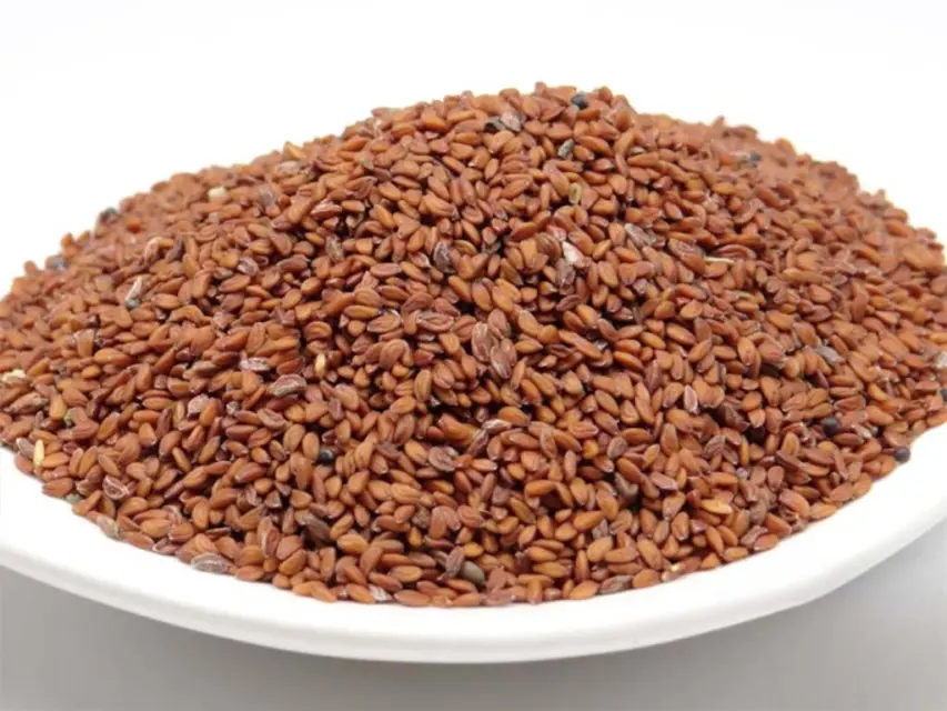 Schale mit Bio Kresse Keimsaat von pikantum
