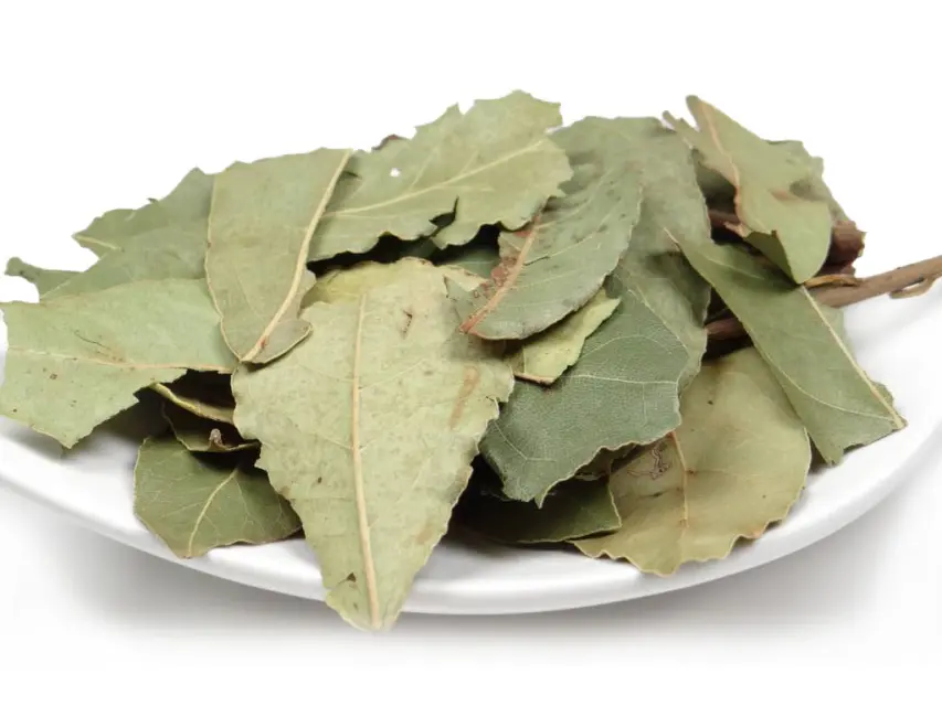 Bio Lorbeerblätter von pikantum