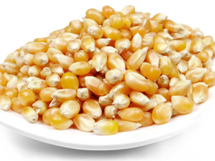 Bio Popcorn-Mais, 5kg