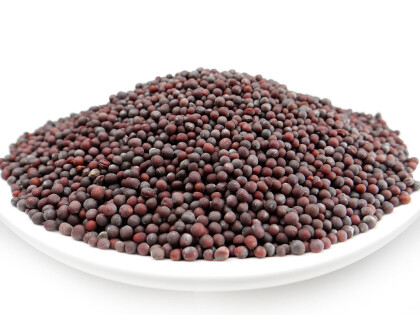 Schale mit schwarzer Bio Senfsaat