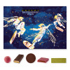 Bio Best of Adventskalender Vegan von zotter