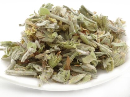 Bio Griechischer Bergtee lose – getrocknete Sideritis-Blüten und Stängel auf weißem Teller, silbrig-grüne Kräuterteemischung